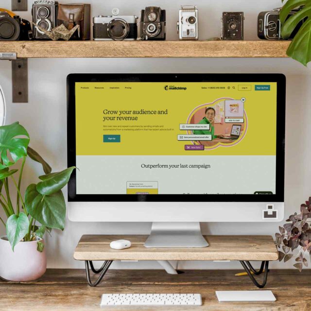 portfolio_01 portfolio_01